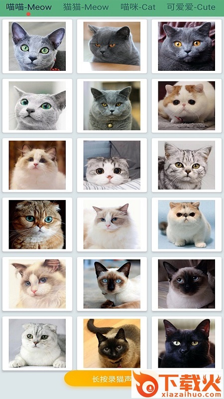 萌猫翻译神器截图2