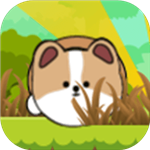滚滚狗安卓版下载-RollingDog(滚滚狗游戏)v0.2.9 最新版