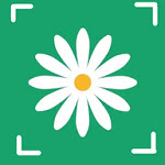 拍照识花草app v1.1 安卓版 拍照识花草app v1.1 安卓版