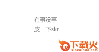 皮skr截图3