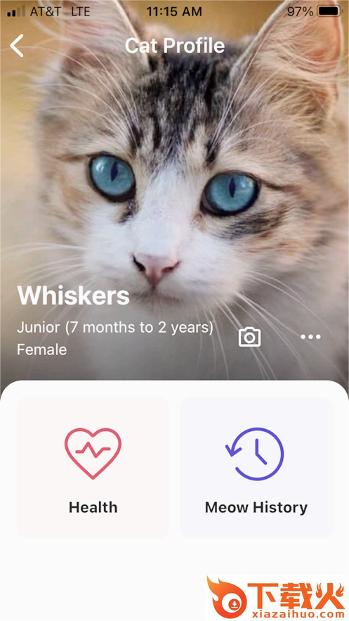 喵说meowtalkapp下载截图2