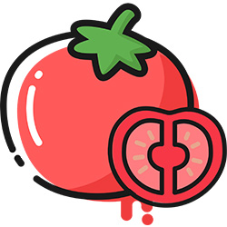 番茄轻断食app下载-番茄轻断食v1.0.2 最新版
