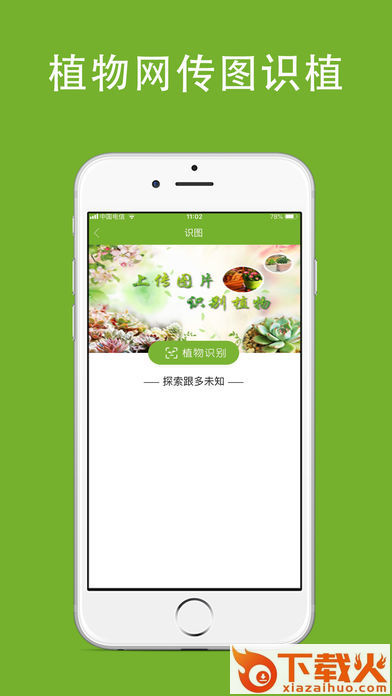 植物网截图2