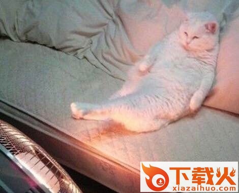 jio冷的表情包