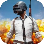 腾讯绝地求生手机版官方下载-腾讯PUBG手游体验服免费下载v1.0 安卓版