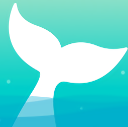 如鱼软件ios v1.8.9 iphone手机版 