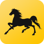 黑走马 v3.1.2 最新版