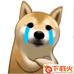 一只柴犬抱胸的表情