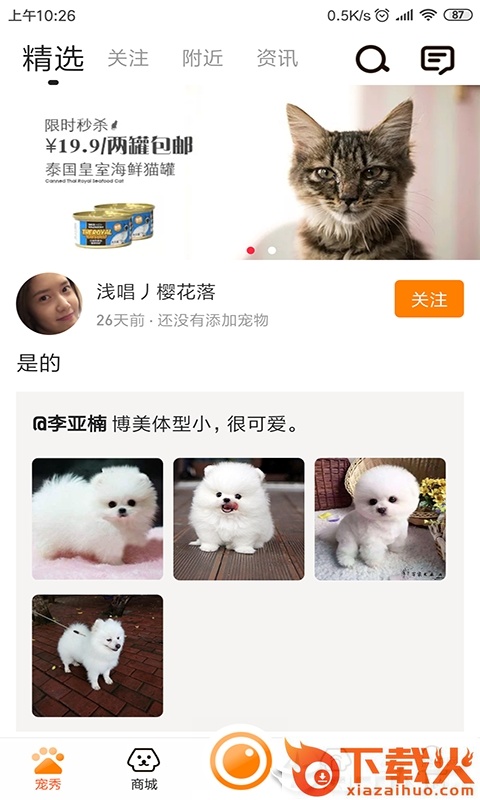 安心宠截图1