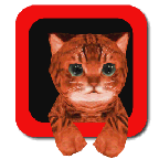 Cat Simulator 3D(小猫模拟器手游) v1.1 安卓版