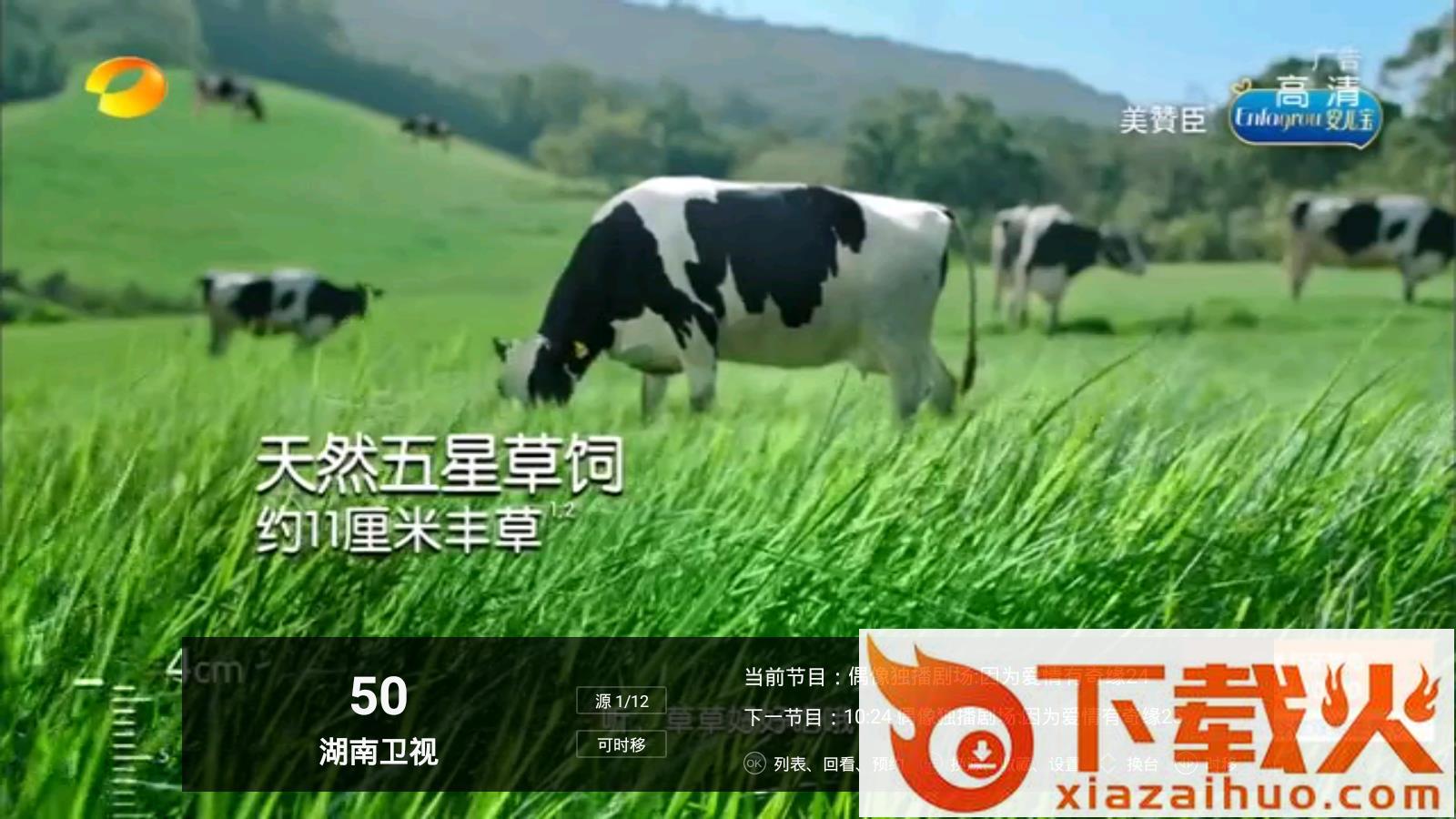 锋彩电视直播官方截图1