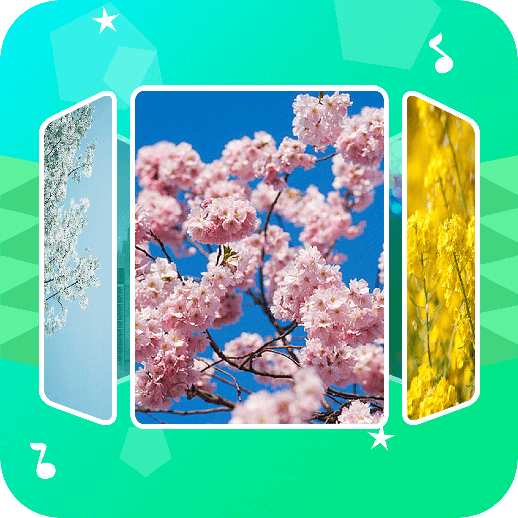 音乐相册助手app下载-音乐相册助手v1.1.0 手机版