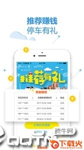 泊安飞机场停车截图1