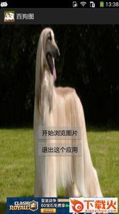 百狗图截图2