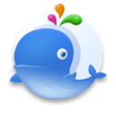 YouR斗鱼弹幕获取工具 v1.0 免费版 