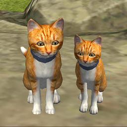可爱小猫模拟器 v1.0.3 安卓版