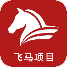 飞马项目(掌上销售助手) v1.0 官方版