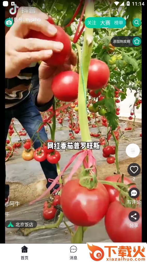 彼方短视频截图2