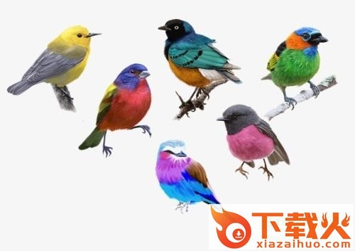 百灵鸟的叫声mp3