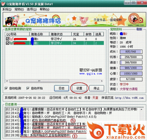 Q宠猪猪伴侣最新版 Q宠猪猪伴侣