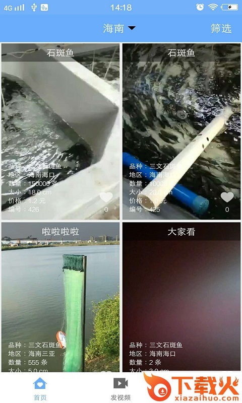 渔多多截图1