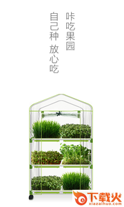 咔吃果园app截图2