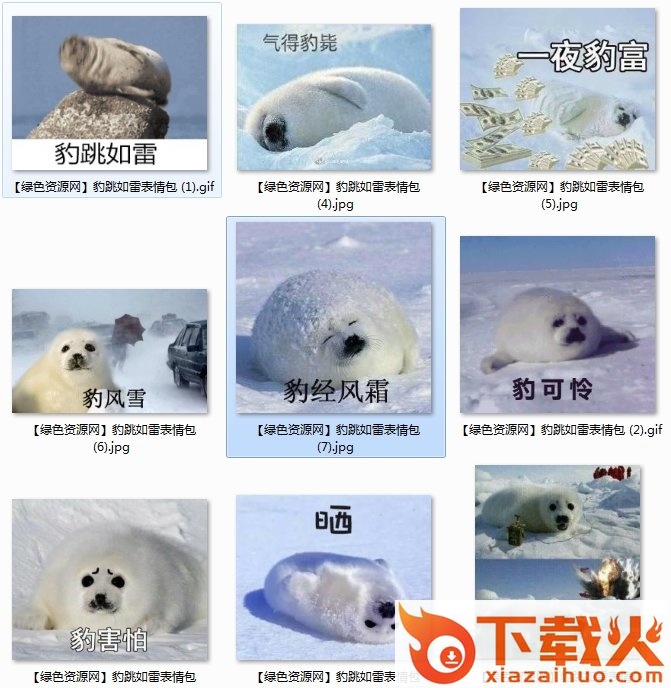 豹跳如雷表情包gif