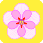 芙蓉花转发文章赚钱app下载-芙蓉花appv3.7.2 安卓版