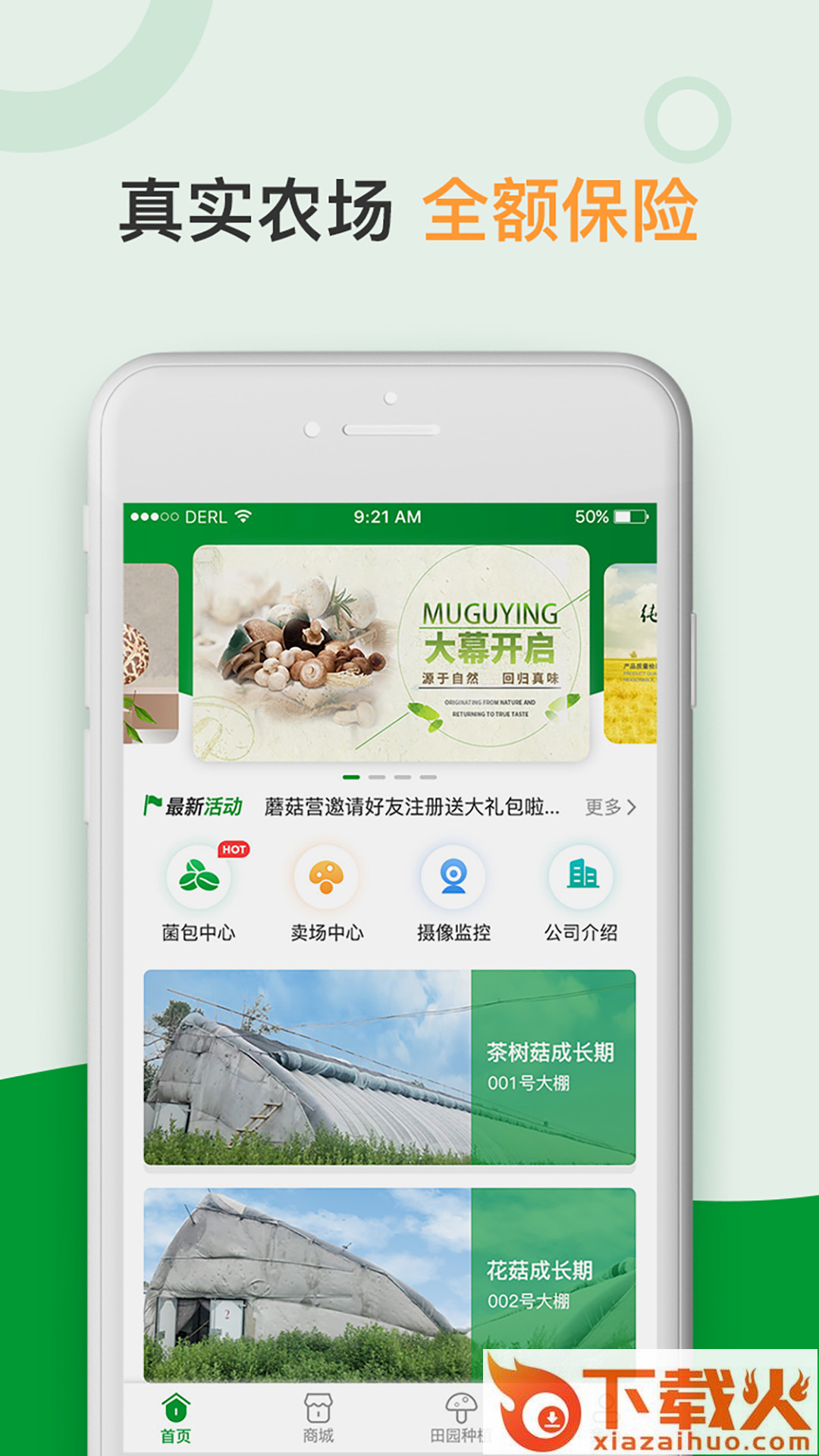 蘑菇营截图1