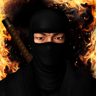 忍者的功夫贼厉害 v1.0 安卓版