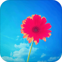 超清壁纸精选app下载-超清壁纸精选v1.0.2 手机版