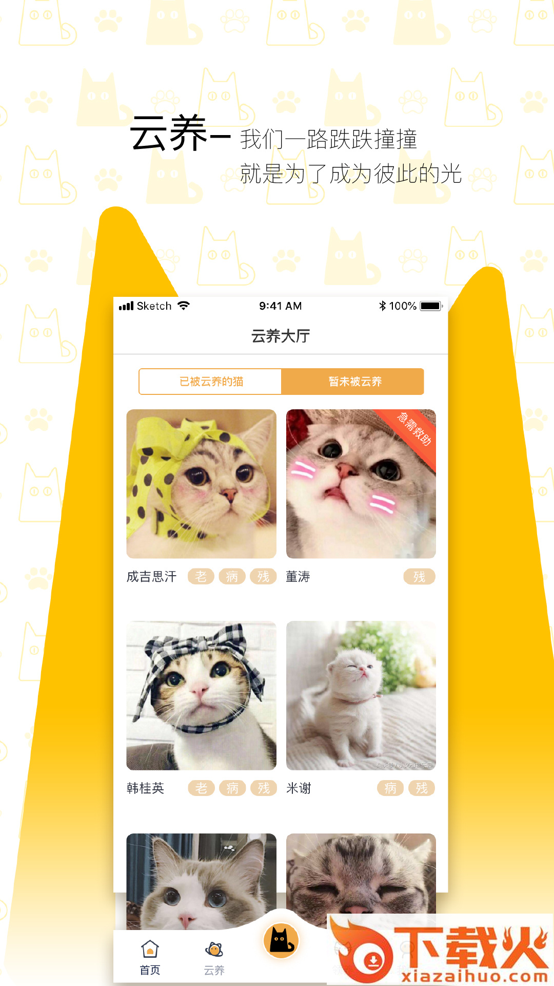 我要猫截图2