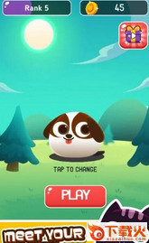 PetPicnic游戏 v1.0.0 安卓版截图2