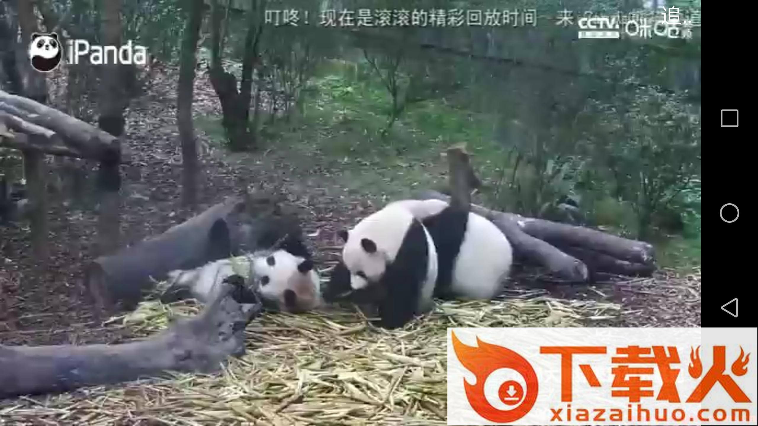 Mtv新春增强版截图2