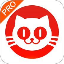猫眼专业版实时票房app v8.6.0 安卓版