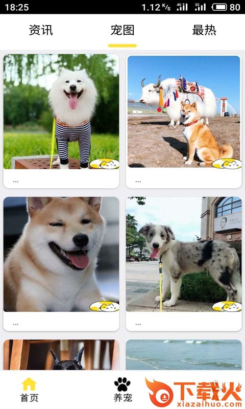 ET宠物截图2