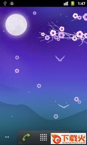 Blooming Night Pro花夜动态壁纸截图2