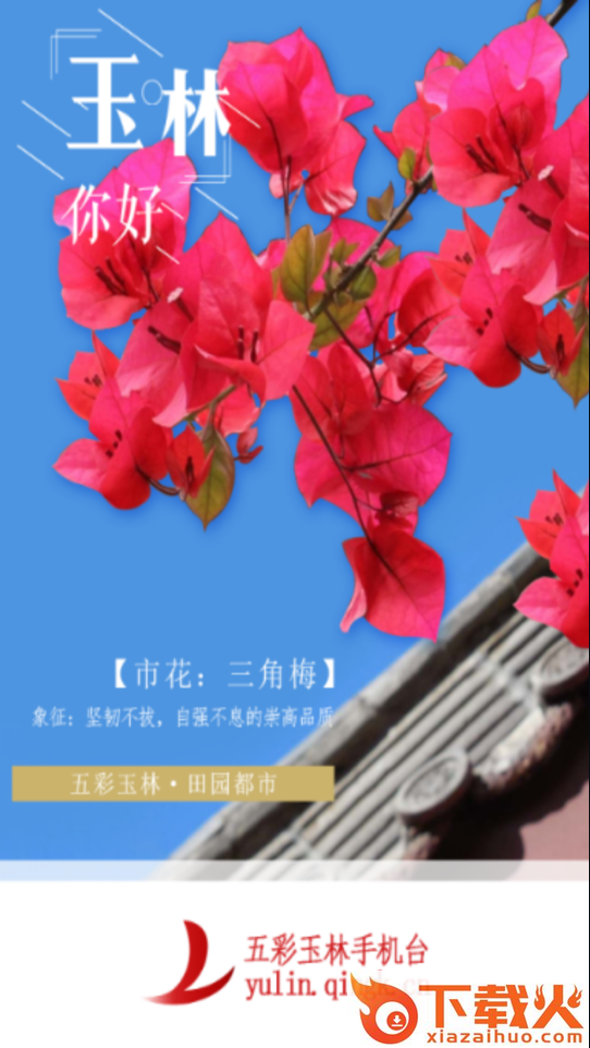五彩玉林手机台app截图1
