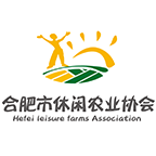 休闲合肥 v1.1.1 安卓版
